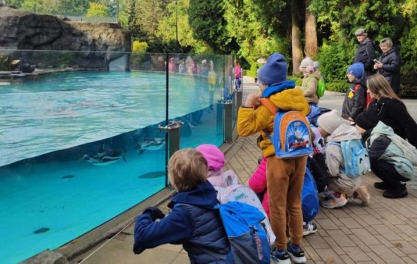 53d74d53-b8d2-4c82-b007-091ccff2977c