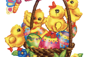 koszyk kurczaczki w koszyku0_5_308_L.jpg